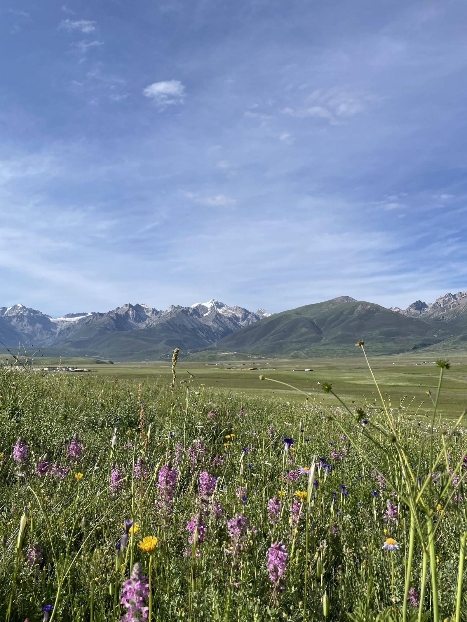 La prateria d'alta quota sull'arrivo a Yushu