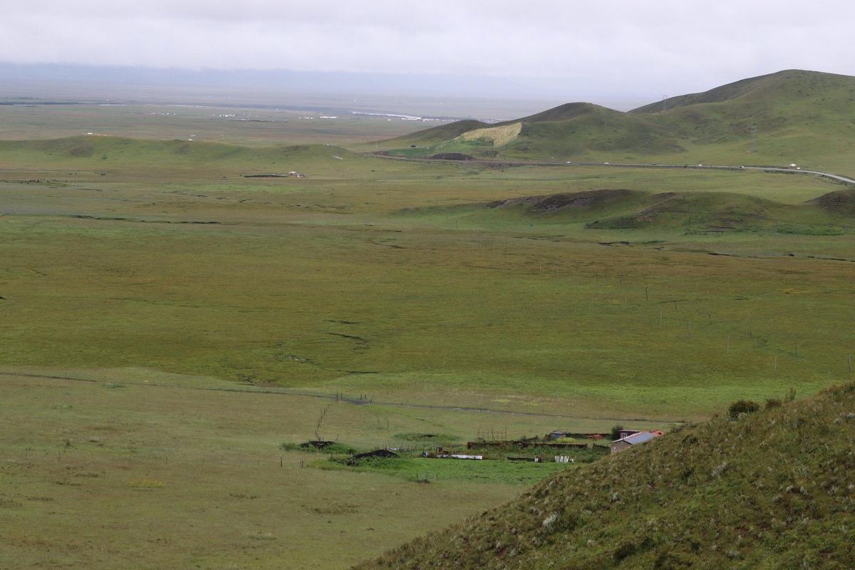 Ruoergai grassland