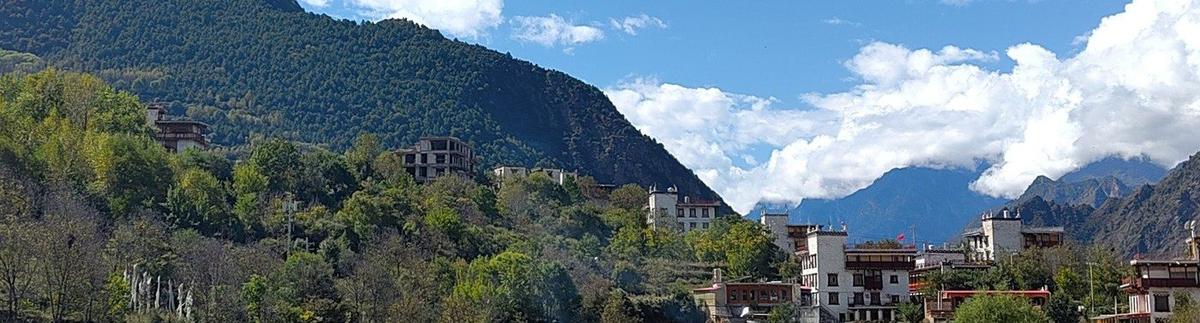 Zhonglu in late October: yellow poplars among the white houses
